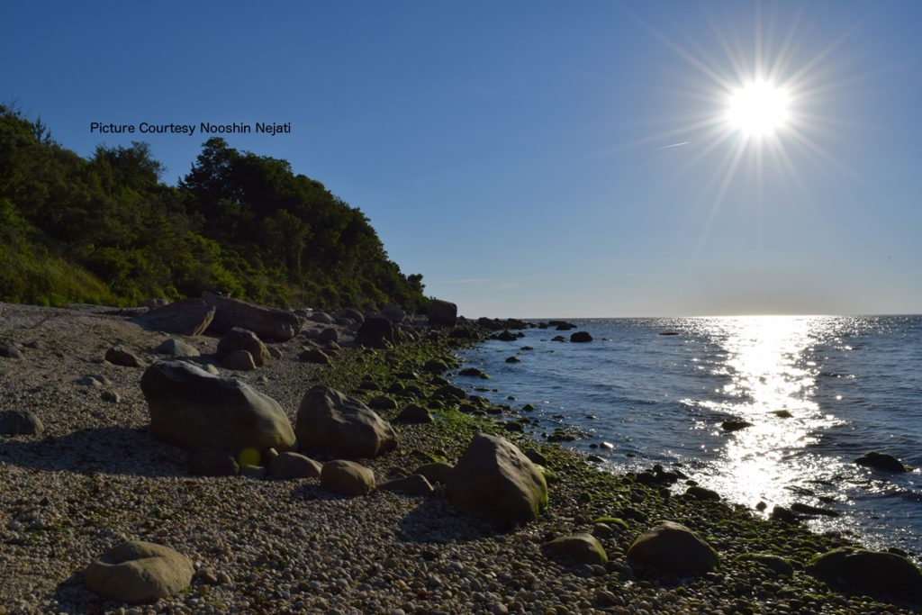 Rocky shoreline with the sun shining over the water