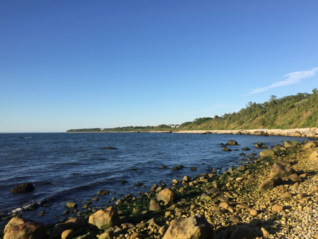Rocky beach along a calm shoreline under a clear sky
